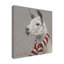 «Lama With Red and White Scarf», reproduction d'art sur toile tendue-27485553