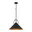 Luminaire suspendu 18 po noir-129402190