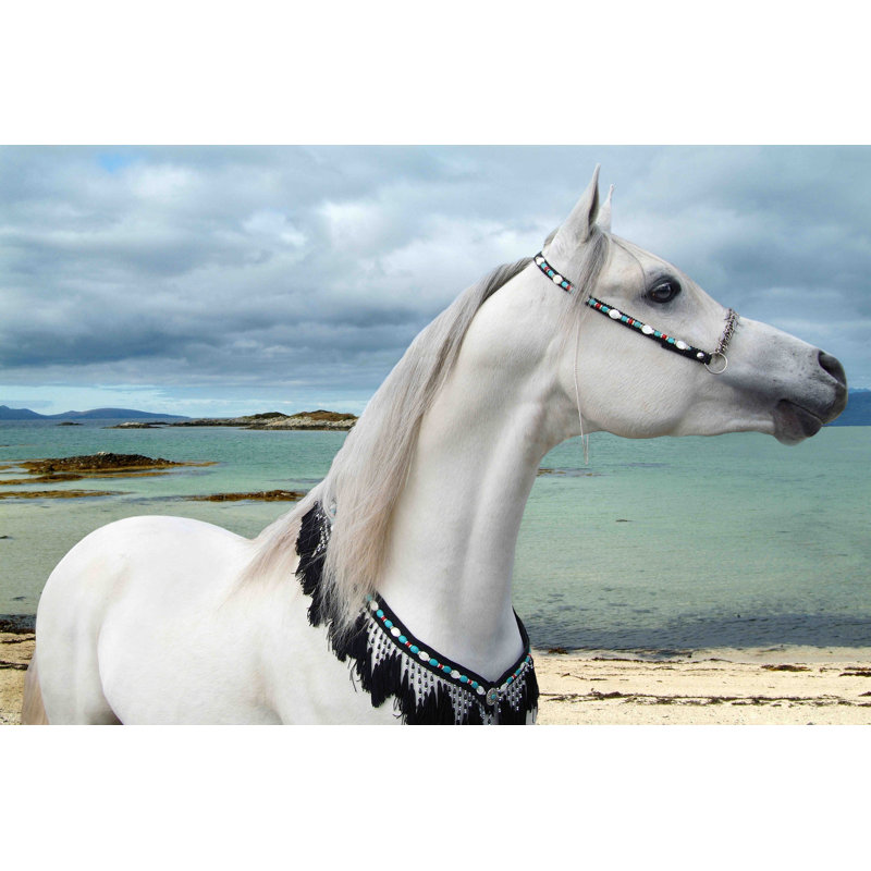 Arabian Sea by Maggie Dee - Wrapped Canvas Print, 102cm H x 152cm W x 4cm D