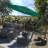 Ethel 132'' Market Umbrella-440688649-440688651