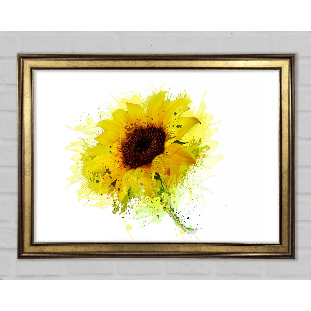 Sonnenblume Splash 1 Gerahmter Druck