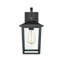 Applique murale d'extérieur 1 lumière de 14 po Messerly-499577018