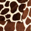 Couverture luxueuse à imprimé zébré-703814836-703814838