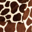 Couverture luxueuse à imprimé zébré-703814839-703814836