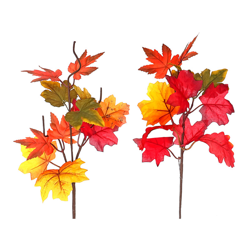 Feuilles d'automne