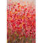 « floral explosion », reproduction d’art sur toile tendue-20677597