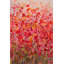 « floral explosion », reproduction d’art sur toile tendue-20677598