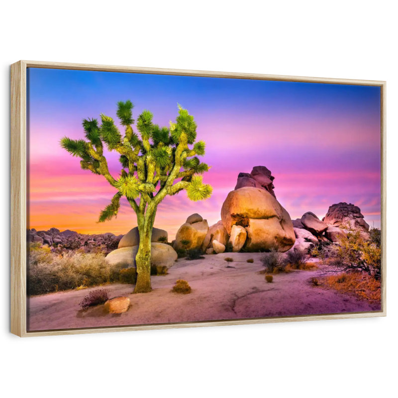 Joshua Tree National Park IV, Cadre flottant en bois naturel, 13 po x 9 po