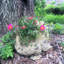 Pot à fleurs statue "Toad Hollow" Classic-1485330522
