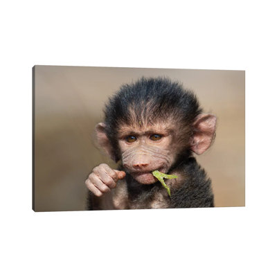 " Baboon Baby II " by Mogens Trolle