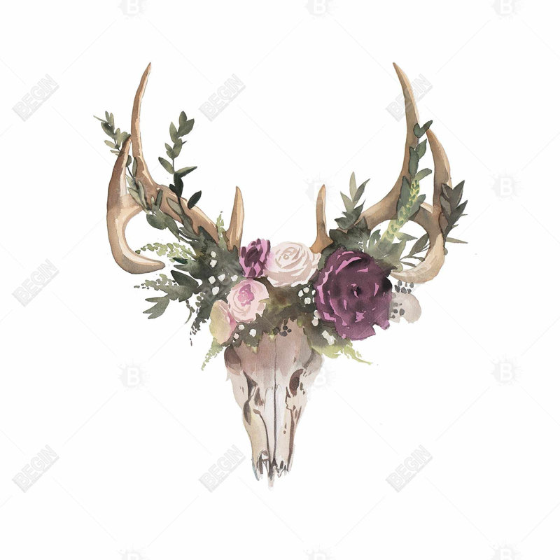 " Deer Skull With Flowers "