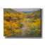 Toile rouge «Golden Explosion» par Christine Debrosky-2073854882