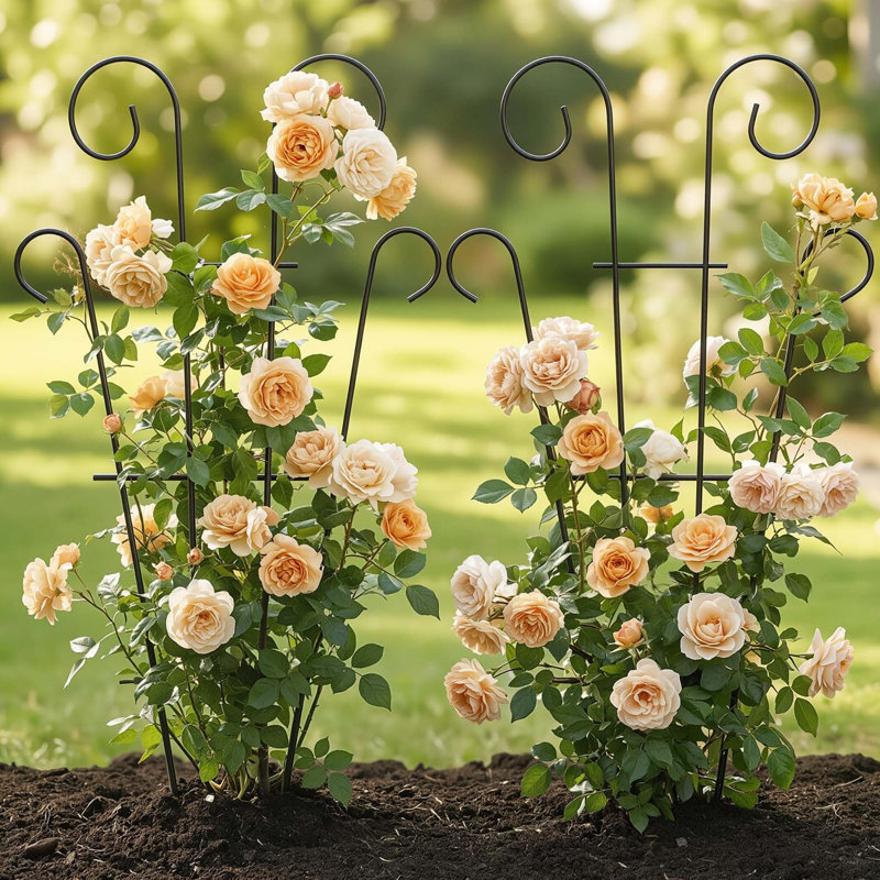 Ensemble de 4 plantes grimpantes en métal pour plantes d'intérieur et d'extérieur en pot