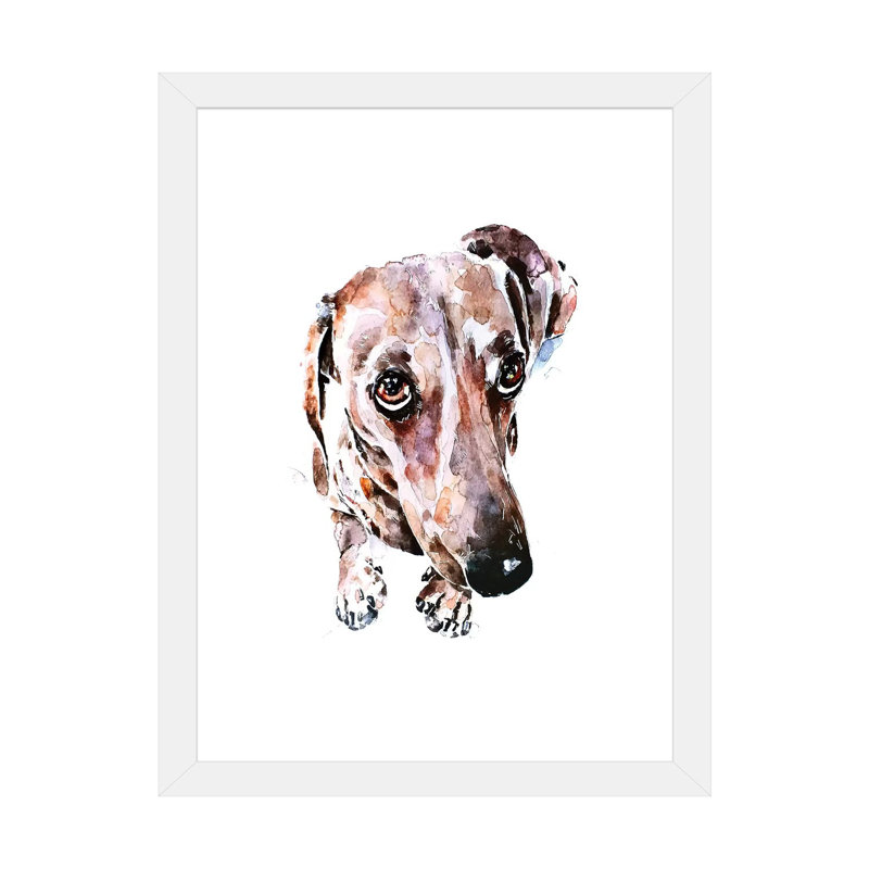 Teckel soulful Eyes par Edwatercolours-impression, H 24 po x l 16 po x P 1 po, Papier encadré blanc, Blanc