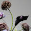 Ornements de fleurs simulées