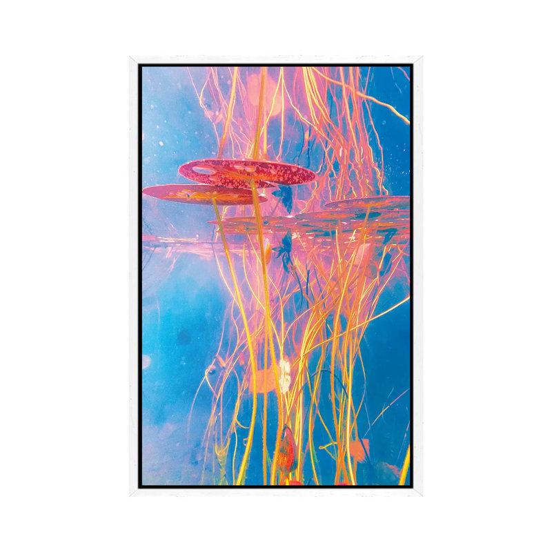 Ecosystematic by Nathan Head - Print on Canvas, White Framed, 66.04cm H x 45.72cm W x 3.81cm D