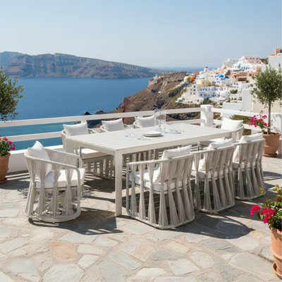 Hittle 9-Piece Powder Coated Rectangle Metal Outdoor Dining Set With Pearl Cushions