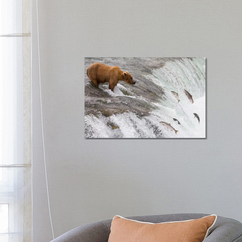 Grizzly Bear Fishing for Sockeye Salmon Which Are Jumping Up Waterfall, Brooks Falls, Katmai National Park, Alaska 1 Piece Wrapped Canvas Wall Art