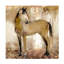 Art sur toile «Bacheler Porter Hastings»-104140628