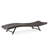 Modern Pe Chaise Lounge - 28.16" Wide, 39.00" High, Brown Multi Lounges In , Iron, Adjustable Seat Back, 600Lb Capacity