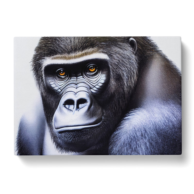 A Mysterious Gorilla - Wrapped Canvas, 50cm H x 76cm W x 3cm D