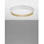 Derwyn LED Flush Mount