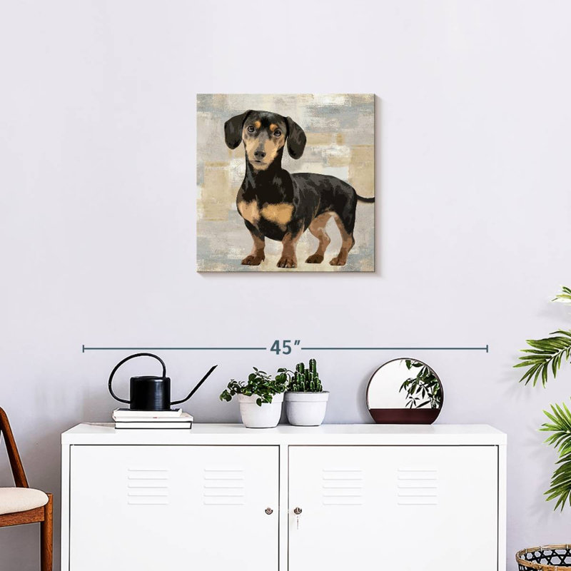 Portrait de teckel Brampt, H 20 po x l 20 po