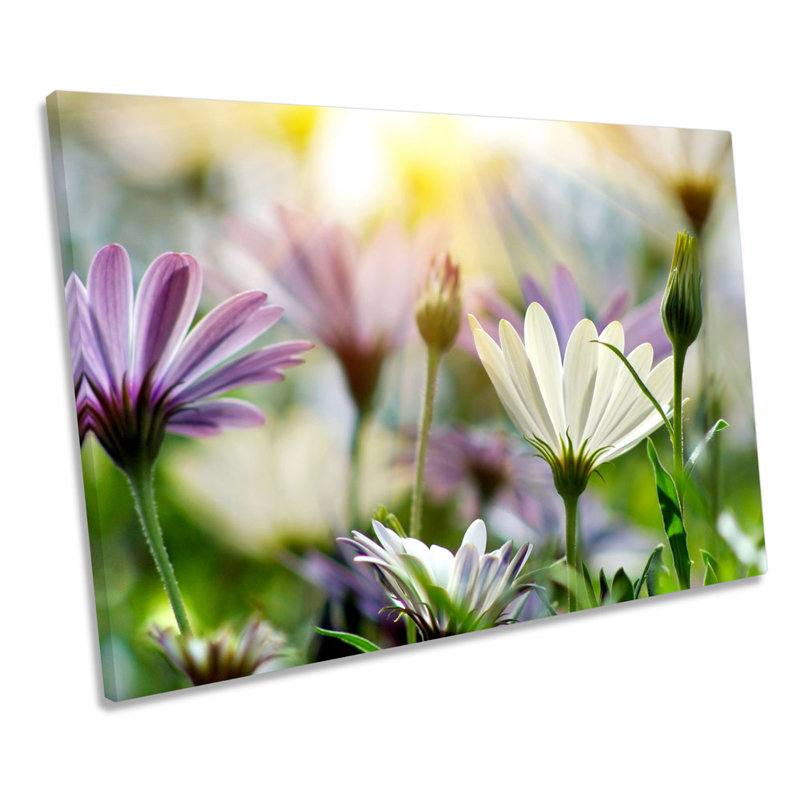 Summer Floral Meadow Scene - Wrapped Canvas Print, 30.5cm H x 45.7cm W