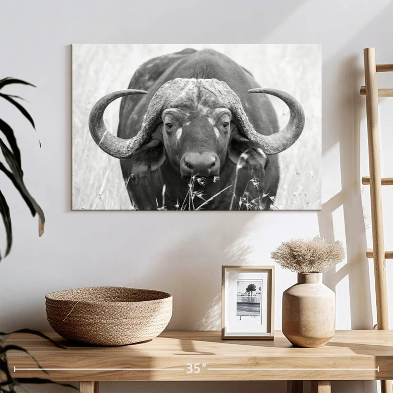 Safari Brampt géant Brampt, H 16 po x l 24 po