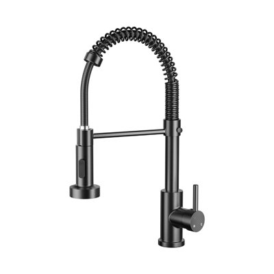 Brayden Studio Kitchen Faucet