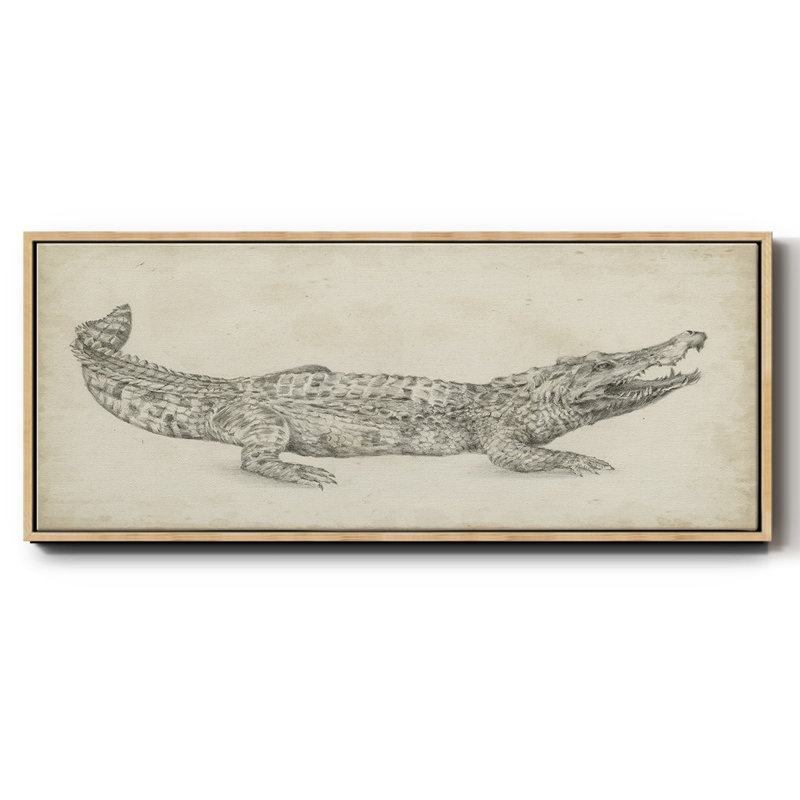Croquis de crocodile - toile encadrée, H 24 po x l 60 po