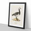 Barnacle Goose by Von Wright - Picture Frame Painting Print-55683256-55683250