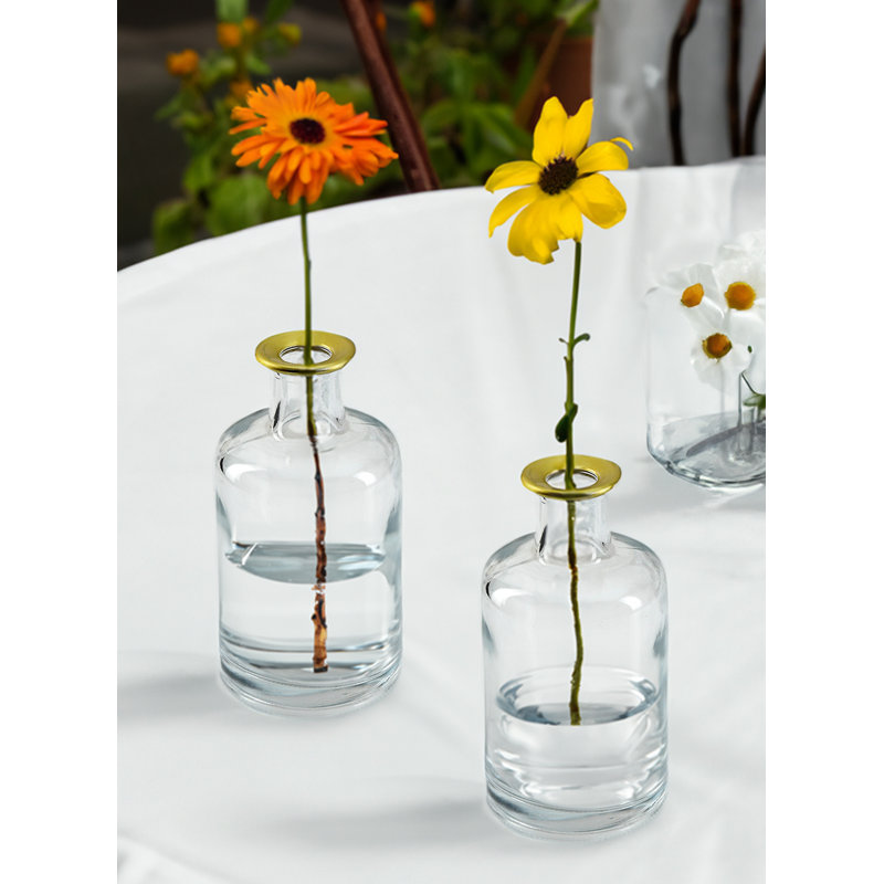 Kyianna Glass Jar - Set of, 24