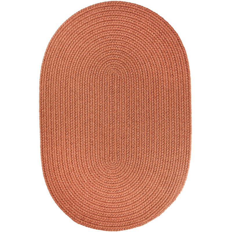 Smyth Hand Braided Synthetic Indoor Rug, Oval  8' x 11'