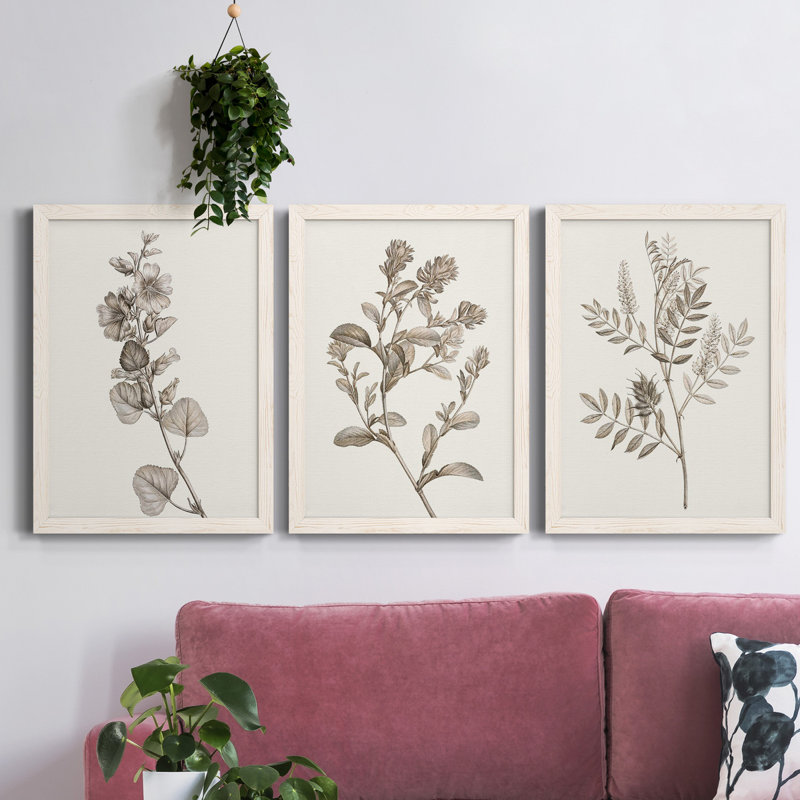 Neutral Botanical Study I - Ensemble de 3 reproductions d'art sur toile, H 43,5 po x l 31,5 po x P 1 po, Blanc