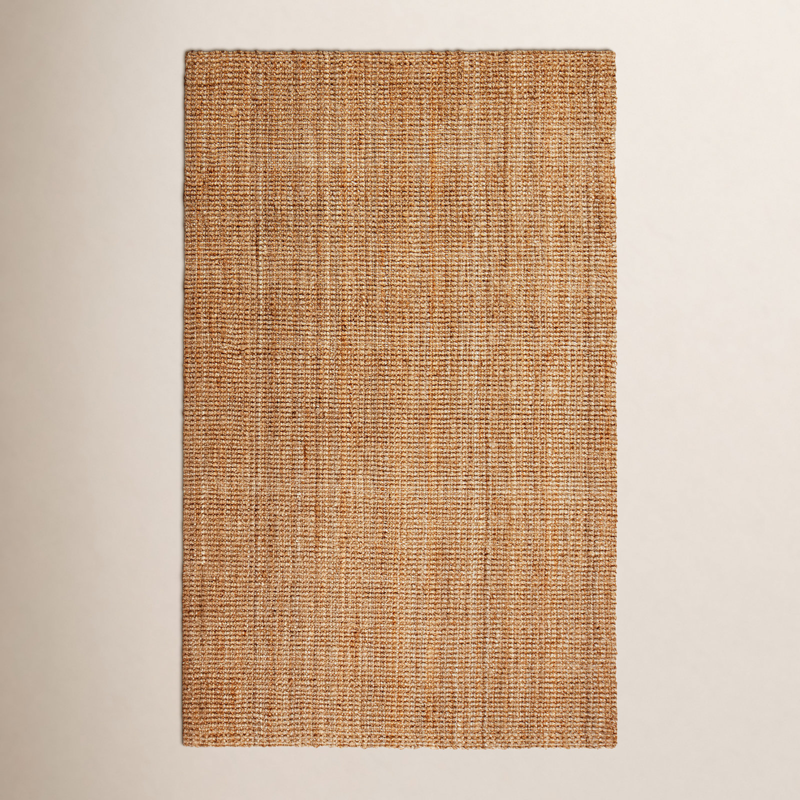 Asta Hand-Loomed Jute Indoor Area Rug in Andes Natural, Rectangle 6' x 9'