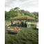 120'' W x 240'' D Metal Canopy-98640777
