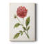 Scarlet Botanical I - Cavas enveloppés de galerie-108826477