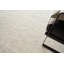 Rossini Striped Area Rug in Ivory-63580079
