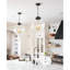 Globe Pendant-73071616