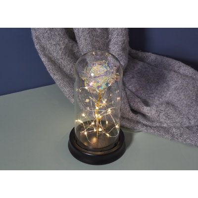 Darrah Landscape & Nature Cloche Or Water Globe