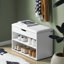 Carpio Faux Leather Upholstered Storage Bench