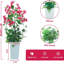 120cm Plant