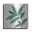 «Bay Leaf» par Chris Paschke-1901134398