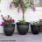 Pot Planter-1342262759