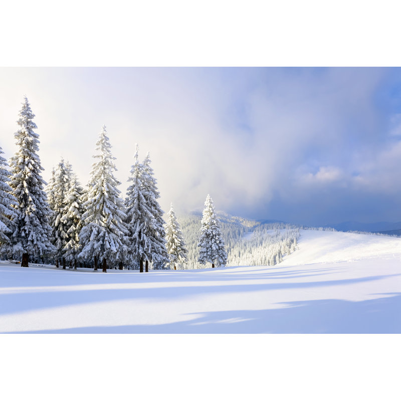 Frosty Winter Day - Wrapped Canvas Print, 30cm H x 46cm W