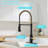 FLG Pull Down Touchless Kitchen Faucet