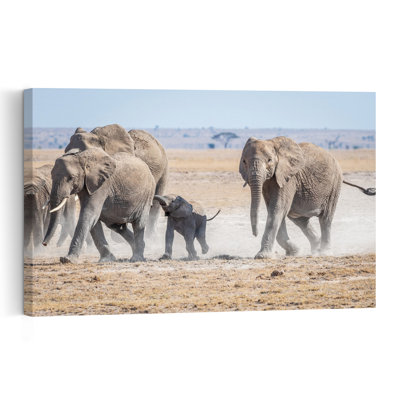 African Elephant Family Contemporary Wall Art Print by Jeffrey C. Sink - 1 Piece Wrapped Canvas Wall Art