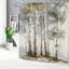 Rideau de bain Misty Birch Tree 72 x 72 pouces (180 x 180 cm) avec crochets gris neutre