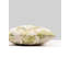 INDIENNE LAMPAS PILLOW-296845489-296845491